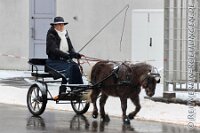 008 A ME 010    © Daniela und Christian Bittner u.a.    Alle Inhalte auf diesen Webseiten sind urheberrechtlich geschützt. Kein Teil der hier abrufbaren Inhalte darf ohne ausdrückliche schriftliche Erlaubnis des Fotografen reproduziert, gedruckt, übersetzt, in digitaler Form weiterbearbeitet, in Archive übernommen oder Dritten unter einer fremden URL zugänglich gemacht werden.   Fotografen: AE .. A. Esdar, AH .. A. Helmle, CB .. Chr. Bittner, DB .. D. Bittner, LB .. L. Bittner, BB .. B. Boschatzke,   HZ .. H. Ziegelbauer, IM .. I. Maierhöfer, KH .. K. Hauber, LE .. L. Esdar, ME .. M. Esdar, MEr .. M. Erhard,   RM .. R. Maierhöfer, SD .. S. Demchuk, TS .. T. Spaag-Wagner, UL .. U. Ladenburger, JW .. J. Wecker, EB .. E. Boschatzke,   JA .. J. Abele, MW .. Maria Walter, MB .. Manuel Bühler, GG .. Georg Gösele, CBa .. Christoph Bayrle, KZW .. Kathrin Zwerger, PG .. Peter Gösele, CME .. Carmen Müller-Epacher, GB .. Gebhard Bühler, AL .. Alisha Ladenburger, SV .. Susanne Habel-Veit, LV .. Lukas Veit, KF .. Kristin Friz.