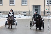 011 A ME 017    © Daniela und Christian Bittner u.a.    Alle Inhalte auf diesen Webseiten sind urheberrechtlich geschützt. Kein Teil der hier abrufbaren Inhalte darf ohne ausdrückliche schriftliche Erlaubnis des Fotografen reproduziert, gedruckt, übersetzt, in digitaler Form weiterbearbeitet, in Archive übernommen oder Dritten unter einer fremden URL zugänglich gemacht werden.   Fotografen: AE .. A. Esdar, AH .. A. Helmle, CB .. Chr. Bittner, DB .. D. Bittner, LB .. L. Bittner, BB .. B. Boschatzke,   HZ .. H. Ziegelbauer, IM .. I. Maierhöfer, KH .. K. Hauber, LE .. L. Esdar, ME .. M. Esdar, MEr .. M. Erhard,   RM .. R. Maierhöfer, SD .. S. Demchuk, TS .. T. Spaag-Wagner, UL .. U. Ladenburger, JW .. J. Wecker, EB .. E. Boschatzke,   JA .. J. Abele, MW .. Maria Walter, MB .. Manuel Bühler, GG .. Georg Gösele, CBa .. Christoph Bayrle, KZW .. Kathrin Zwerger, PG .. Peter Gösele, CME .. Carmen Müller-Epacher, GB .. Gebhard Bühler, AL .. Alisha Ladenburger, SV .. Susanne Habel-Veit, LV .. Lukas Veit, KF .. Kristin Friz.