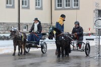 012 A ME 019    © Daniela und Christian Bittner u.a.    Alle Inhalte auf diesen Webseiten sind urheberrechtlich geschützt. Kein Teil der hier abrufbaren Inhalte darf ohne ausdrückliche schriftliche Erlaubnis des Fotografen reproduziert, gedruckt, übersetzt, in digitaler Form weiterbearbeitet, in Archive übernommen oder Dritten unter einer fremden URL zugänglich gemacht werden.   Fotografen: AE .. A. Esdar, AH .. A. Helmle, CB .. Chr. Bittner, DB .. D. Bittner, LB .. L. Bittner, BB .. B. Boschatzke,   HZ .. H. Ziegelbauer, IM .. I. Maierhöfer, KH .. K. Hauber, LE .. L. Esdar, ME .. M. Esdar, MEr .. M. Erhard,   RM .. R. Maierhöfer, SD .. S. Demchuk, TS .. T. Spaag-Wagner, UL .. U. Ladenburger, JW .. J. Wecker, EB .. E. Boschatzke,   JA .. J. Abele, MW .. Maria Walter, MB .. Manuel Bühler, GG .. Georg Gösele, CBa .. Christoph Bayrle, KZW .. Kathrin Zwerger, PG .. Peter Gösele, CME .. Carmen Müller-Epacher, GB .. Gebhard Bühler, AL .. Alisha Ladenburger, SV .. Susanne Habel-Veit, LV .. Lukas Veit, KF .. Kristin Friz.