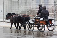 015 A ME 028    © Daniela und Christian Bittner u.a.    Alle Inhalte auf diesen Webseiten sind urheberrechtlich geschützt. Kein Teil der hier abrufbaren Inhalte darf ohne ausdrückliche schriftliche Erlaubnis des Fotografen reproduziert, gedruckt, übersetzt, in digitaler Form weiterbearbeitet, in Archive übernommen oder Dritten unter einer fremden URL zugänglich gemacht werden.   Fotografen: AE .. A. Esdar, AH .. A. Helmle, CB .. Chr. Bittner, DB .. D. Bittner, LB .. L. Bittner, BB .. B. Boschatzke,   HZ .. H. Ziegelbauer, IM .. I. Maierhöfer, KH .. K. Hauber, LE .. L. Esdar, ME .. M. Esdar, MEr .. M. Erhard,   RM .. R. Maierhöfer, SD .. S. Demchuk, TS .. T. Spaag-Wagner, UL .. U. Ladenburger, JW .. J. Wecker, EB .. E. Boschatzke,   JA .. J. Abele, MW .. Maria Walter, MB .. Manuel Bühler, GG .. Georg Gösele, CBa .. Christoph Bayrle, KZW .. Kathrin Zwerger, PG .. Peter Gösele, CME .. Carmen Müller-Epacher, GB .. Gebhard Bühler, AL .. Alisha Ladenburger, SV .. Susanne Habel-Veit, LV .. Lukas Veit, KF .. Kristin Friz.