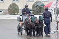 016 A ME 029    © Daniela und Christian Bittner u.a.    Alle Inhalte auf diesen Webseiten sind urheberrechtlich geschützt. Kein Teil der hier abrufbaren Inhalte darf ohne ausdrückliche schriftliche Erlaubnis des Fotografen reproduziert, gedruckt, übersetzt, in digitaler Form weiterbearbeitet, in Archive übernommen oder Dritten unter einer fremden URL zugänglich gemacht werden.   Fotografen: AE .. A. Esdar, AH .. A. Helmle, CB .. Chr. Bittner, DB .. D. Bittner, LB .. L. Bittner, BB .. B. Boschatzke,   HZ .. H. Ziegelbauer, IM .. I. Maierhöfer, KH .. K. Hauber, LE .. L. Esdar, ME .. M. Esdar, MEr .. M. Erhard,   RM .. R. Maierhöfer, SD .. S. Demchuk, TS .. T. Spaag-Wagner, UL .. U. Ladenburger, JW .. J. Wecker, EB .. E. Boschatzke,   JA .. J. Abele, MW .. Maria Walter, MB .. Manuel Bühler, GG .. Georg Gösele, CBa .. Christoph Bayrle, KZW .. Kathrin Zwerger, PG .. Peter Gösele, CME .. Carmen Müller-Epacher, GB .. Gebhard Bühler, AL .. Alisha Ladenburger, SV .. Susanne Habel-Veit, LV .. Lukas Veit, KF .. Kristin Friz.