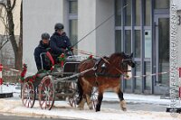 017 A ME 030    © Daniela und Christian Bittner u.a.    Alle Inhalte auf diesen Webseiten sind urheberrechtlich geschützt. Kein Teil der hier abrufbaren Inhalte darf ohne ausdrückliche schriftliche Erlaubnis des Fotografen reproduziert, gedruckt, übersetzt, in digitaler Form weiterbearbeitet, in Archive übernommen oder Dritten unter einer fremden URL zugänglich gemacht werden.   Fotografen: AE .. A. Esdar, AH .. A. Helmle, CB .. Chr. Bittner, DB .. D. Bittner, LB .. L. Bittner, BB .. B. Boschatzke,   HZ .. H. Ziegelbauer, IM .. I. Maierhöfer, KH .. K. Hauber, LE .. L. Esdar, ME .. M. Esdar, MEr .. M. Erhard,   RM .. R. Maierhöfer, SD .. S. Demchuk, TS .. T. Spaag-Wagner, UL .. U. Ladenburger, JW .. J. Wecker, EB .. E. Boschatzke,   JA .. J. Abele, MW .. Maria Walter, MB .. Manuel Bühler, GG .. Georg Gösele, CBa .. Christoph Bayrle, KZW .. Kathrin Zwerger, PG .. Peter Gösele, CME .. Carmen Müller-Epacher, GB .. Gebhard Bühler, AL .. Alisha Ladenburger, SV .. Susanne Habel-Veit, LV .. Lukas Veit, KF .. Kristin Friz.