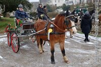 021 A KA 007    © Daniela und Christian Bittner u.a.    Alle Inhalte auf diesen Webseiten sind urheberrechtlich geschützt. Kein Teil der hier abrufbaren Inhalte darf ohne ausdrückliche schriftliche Erlaubnis des Fotografen reproduziert, gedruckt, übersetzt, in digitaler Form weiterbearbeitet, in Archive übernommen oder Dritten unter einer fremden URL zugänglich gemacht werden.   Fotografen: AE .. A. Esdar, AH .. A. Helmle, CB .. Chr. Bittner, DB .. D. Bittner, LB .. L. Bittner, BB .. B. Boschatzke,   HZ .. H. Ziegelbauer, IM .. I. Maierhöfer, KH .. K. Hauber, LE .. L. Esdar, ME .. M. Esdar, MEr .. M. Erhard,   RM .. R. Maierhöfer, SD .. S. Demchuk, TS .. T. Spaag-Wagner, UL .. U. Ladenburger, JW .. J. Wecker, EB .. E. Boschatzke,   JA .. J. Abele, MW .. Maria Walter, MB .. Manuel Bühler, GG .. Georg Gösele, CBa .. Christoph Bayrle, KZW .. Kathrin Zwerger, PG .. Peter Gösele, CME .. Carmen Müller-Epacher, GB .. Gebhard Bühler, AL .. Alisha Ladenburger, SV .. Susanne Habel-Veit, LV .. Lukas Veit, KF .. Kristin Friz.