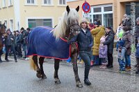 032 A DB 023    © Daniela und Christian Bittner u.a.    Alle Inhalte auf diesen Webseiten sind urheberrechtlich geschützt. Kein Teil der hier abrufbaren Inhalte darf ohne ausdrückliche schriftliche Erlaubnis des Fotografen reproduziert, gedruckt, übersetzt, in digitaler Form weiterbearbeitet, in Archive übernommen oder Dritten unter einer fremden URL zugänglich gemacht werden.   Fotografen: AE .. A. Esdar, AH .. A. Helmle, CB .. Chr. Bittner, DB .. D. Bittner, LB .. L. Bittner, BB .. B. Boschatzke,   HZ .. H. Ziegelbauer, IM .. I. Maierhöfer, KH .. K. Hauber, LE .. L. Esdar, ME .. M. Esdar, MEr .. M. Erhard,   RM .. R. Maierhöfer, SD .. S. Demchuk, TS .. T. Spaag-Wagner, UL .. U. Ladenburger, JW .. J. Wecker, EB .. E. Boschatzke,   JA .. J. Abele, MW .. Maria Walter, MB .. Manuel Bühler, GG .. Georg Gösele, CBa .. Christoph Bayrle, KZW .. Kathrin Zwerger, PG .. Peter Gösele, CME .. Carmen Müller-Epacher, GB .. Gebhard Bühler, AL .. Alisha Ladenburger, SV .. Susanne Habel-Veit, LV .. Lukas Veit, KF .. Kristin Friz.