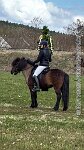 005 A IM 002    © Daniela und Christian Bittner u.a.    Alle Inhalte auf diesen Webseiten sind urheberrechtlich geschützt. Kein Teil der hier abrufbaren Inhalte darf ohne ausdrückliche schriftliche Erlaubnis des Fotografen reproduziert, gedruckt, übersetzt, in digitaler Form weiterbearbeitet, in Archive übernommen oder Dritten unter einer fremden URL zugänglich gemacht werden.   Fotografen: AE .. A. Esdar, AH .. A. Helmle, CB .. Chr. Bittner, DB .. D. Bittner, LB .. L. Bittner, BB .. B. Boschatzke,   HZ .. H. Ziegelbauer, IM .. I. Maierhöfer, KH .. K. Hauber, LE .. L. Esdar, ME .. M. Esdar, MEr .. M. Erhard,   RM .. R. Maierhöfer, SD .. S. Demchuk, TS .. T. Spaag-Wagner, UL .. U. Ladenburger, JW .. J. Wecker, EB .. E. Boschatzke,   JA .. J. Abele, MW .. Maria Walter, MB .. Manuel Bühler, GG .. Georg Gösele, CBa .. Christoph Bayrle, KZW .. Kathrin Zwerger, PG .. Peter Gösele, CME .. Carmen Müller-Epacher, GB .. Gebhard Bühler, AL .. Alisha Ladenburger, SV .. Susanne Habel-Veit, LV .. Lukas Veit, KF .. Kristin Friz.