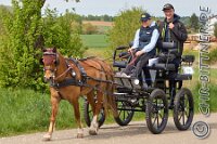 078 A DB 356    © Daniela und Christian Bittner u.a.    Alle Inhalte auf diesen Webseiten sind urheberrechtlich geschützt. Kein Teil der hier abrufbaren Inhalte darf ohne ausdrückliche schriftliche Erlaubnis des Fotografen reproduziert, gedruckt, übersetzt, in digitaler Form weiterbearbeitet, in Archive übernommen oder Dritten unter einer fremden URL zugänglich gemacht werden.   Fotografen: AE .. A. Esdar, AH .. A. Helmle, CB .. Chr. Bittner, DB .. D. Bittner, LB .. L. Bittner, BB .. B. Boschatzke,   HZ .. H. Ziegelbauer, IM .. I. Maierhöfer, KH .. K. Hauber, LE .. L. Esdar, ME .. M. Esdar, MEr .. M. Erhard,   RM .. R. Maierhöfer, SD .. S. Demchuk, TS .. T. Spaag-Wagner, UL .. U. Ladenburger, JW .. J. Wecker, EB .. E. Boschatzke,   JA .. J. Abele, MW .. Maria Walter, MB .. Manuel Bühler, GG .. Georg Gösele, CBa .. Christoph Bayrle, KZW .. Kathrin Zwerger, PG .. Peter Gösele, CME .. Carmen Müller-Epacher, GB .. Gebhard Bühler, AL .. Alisha Ladenburger, SV .. Susanne Habel-Veit, LV .. Lukas Veit, KF .. Kristin Friz.