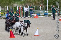 121 A DB 584    © Daniela und Christian Bittner u.a.    Alle Inhalte auf diesen Webseiten sind urheberrechtlich geschützt. Kein Teil der hier abrufbaren Inhalte darf ohne ausdrückliche schriftliche Erlaubnis des Fotografen reproduziert, gedruckt, übersetzt, in digitaler Form weiterbearbeitet, in Archive übernommen oder Dritten unter einer fremden URL zugänglich gemacht werden.   Fotografen: AE .. A. Esdar, AH .. A. Helmle, CB .. Chr. Bittner, DB .. D. Bittner, LB .. L. Bittner, BB .. B. Boschatzke,   HZ .. H. Ziegelbauer, IM .. I. Maierhöfer, KH .. K. Hauber, LE .. L. Esdar, ME .. M. Esdar, MEr .. M. Erhard,   RM .. R. Maierhöfer, SD .. S. Demchuk, TS .. T. Spaag-Wagner, UL .. U. Ladenburger, JW .. J. Wecker, EB .. E. Boschatzke,   JA .. J. Abele, MW .. Maria Walter, MB .. Manuel Bühler, GG .. Georg Gösele, CBa .. Christoph Bayrle, KZW .. Kathrin Zwerger, PG .. Peter Gösele, CME .. Carmen Müller-Epacher, GB .. Gebhard Bühler, AL .. Alisha Ladenburger, SV .. Susanne Habel-Veit, LV .. Lukas Veit, KF .. Kristin Friz.
