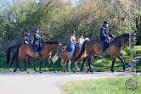 017 A DB 027    © Daniela und Christian Bittner u.a.    Alle Inhalte auf diesen Webseiten sind urheberrechtlich geschützt. Kein Teil der hier abrufbaren Inhalte darf ohne ausdrückliche schriftliche Erlaubnis des Fotografen reproduziert, gedruckt, übersetzt, in digitaler Form weiterbearbeitet, in Archive übernommen oder Dritten unter einer fremden URL zugänglich gemacht werden.   Fotografen: AE .. A. Esdar, AH .. A. Helmle, CB .. Chr. Bittner, DB .. D. Bittner, LB .. L. Bittner, BB .. B. Boschatzke,   HZ .. H. Ziegelbauer, IM .. I. Maierhöfer, KH .. K. Hauber, LE .. L. Esdar, ME .. M. Esdar, MEr .. M. Erhard,   RM .. R. Maierhöfer, SD .. S. Demchuk, TS .. T. Spaag-Wagner, UL .. U. Ladenburger, JW .. J. Wecker, EB .. E. Boschatzke,   JA .. J. Abele, MW .. Maria Walter, MB .. Manuel Bühler, GG .. Georg Gösele, CBa .. Christoph Bayrle, KZW .. Kathrin Zwerger, PG .. Peter Gösele, CME .. Carmen Müller-Epacher, GB .. Gebhard Bühler, AL .. Alisha Ladenburger, SV .. Susanne Habel-Veit, LV .. Lukas Veit, KF .. Kristin Friz.
