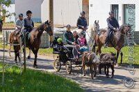 023 A DB 059    © Daniela und Christian Bittner u.a.    Alle Inhalte auf diesen Webseiten sind urheberrechtlich geschützt. Kein Teil der hier abrufbaren Inhalte darf ohne ausdrückliche schriftliche Erlaubnis des Fotografen reproduziert, gedruckt, übersetzt, in digitaler Form weiterbearbeitet, in Archive übernommen oder Dritten unter einer fremden URL zugänglich gemacht werden.   Fotografen: AE .. A. Esdar, AH .. A. Helmle, CB .. Chr. Bittner, DB .. D. Bittner, LB .. L. Bittner, BB .. B. Boschatzke,   HZ .. H. Ziegelbauer, IM .. I. Maierhöfer, KH .. K. Hauber, LE .. L. Esdar, ME .. M. Esdar, MEr .. M. Erhard,   RM .. R. Maierhöfer, SD .. S. Demchuk, TS .. T. Spaag-Wagner, UL .. U. Ladenburger, JW .. J. Wecker, EB .. E. Boschatzke,   JA .. J. Abele, MW .. Maria Walter, MB .. Manuel Bühler, GG .. Georg Gösele, CBa .. Christoph Bayrle, KZW .. Kathrin Zwerger, PG .. Peter Gösele, CME .. Carmen Müller-Epacher, GB .. Gebhard Bühler, AL .. Alisha Ladenburger, SV .. Susanne Habel-Veit, LV .. Lukas Veit, KF .. Kristin Friz.
