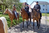 031 A DB 072    © Daniela und Christian Bittner u.a.    Alle Inhalte auf diesen Webseiten sind urheberrechtlich geschützt. Kein Teil der hier abrufbaren Inhalte darf ohne ausdrückliche schriftliche Erlaubnis des Fotografen reproduziert, gedruckt, übersetzt, in digitaler Form weiterbearbeitet, in Archive übernommen oder Dritten unter einer fremden URL zugänglich gemacht werden.   Fotografen: AE .. A. Esdar, AH .. A. Helmle, CB .. Chr. Bittner, DB .. D. Bittner, LB .. L. Bittner, BB .. B. Boschatzke,   HZ .. H. Ziegelbauer, IM .. I. Maierhöfer, KH .. K. Hauber, LE .. L. Esdar, ME .. M. Esdar, MEr .. M. Erhard,   RM .. R. Maierhöfer, SD .. S. Demchuk, TS .. T. Spaag-Wagner, UL .. U. Ladenburger, JW .. J. Wecker, EB .. E. Boschatzke,   JA .. J. Abele, MW .. Maria Walter, MB .. Manuel Bühler, GG .. Georg Gösele, CBa .. Christoph Bayrle, KZW .. Kathrin Zwerger, PG .. Peter Gösele, CME .. Carmen Müller-Epacher, GB .. Gebhard Bühler, AL .. Alisha Ladenburger, SV .. Susanne Habel-Veit, LV .. Lukas Veit, KF .. Kristin Friz.