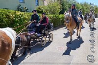 058 A DB 118    © Daniela und Christian Bittner u.a.    Alle Inhalte auf diesen Webseiten sind urheberrechtlich geschützt. Kein Teil der hier abrufbaren Inhalte darf ohne ausdrückliche schriftliche Erlaubnis des Fotografen reproduziert, gedruckt, übersetzt, in digitaler Form weiterbearbeitet, in Archive übernommen oder Dritten unter einer fremden URL zugänglich gemacht werden.   Fotografen: AE .. A. Esdar, AH .. A. Helmle, CB .. Chr. Bittner, DB .. D. Bittner, LB .. L. Bittner, BB .. B. Boschatzke,   HZ .. H. Ziegelbauer, IM .. I. Maierhöfer, KH .. K. Hauber, LE .. L. Esdar, ME .. M. Esdar, MEr .. M. Erhard,   RM .. R. Maierhöfer, SD .. S. Demchuk, TS .. T. Spaag-Wagner, UL .. U. Ladenburger, JW .. J. Wecker, EB .. E. Boschatzke,   JA .. J. Abele, MW .. Maria Walter, MB .. Manuel Bühler, GG .. Georg Gösele, CBa .. Christoph Bayrle, KZW .. Kathrin Zwerger, PG .. Peter Gösele, CME .. Carmen Müller-Epacher, GB .. Gebhard Bühler, AL .. Alisha Ladenburger, SV .. Susanne Habel-Veit, LV .. Lukas Veit, KF .. Kristin Friz.