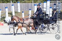 2026-09 Süddeutsche Mannschaftsmeisterschaft Fahren Hülen