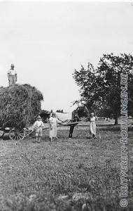 Ein Heuwagen-Einspänner, Fahrer nicht mehr bekannt