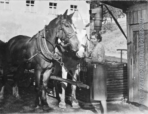 Dieses Bild entstand an der Unteren Mühle
