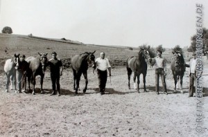 Stutenprämierung und Nachzuchtschau anlässlich der Staatsprämierung mit Robert Jakob, 1982, das Foto stammt aus dem Archiv von Gebhard Bühler
