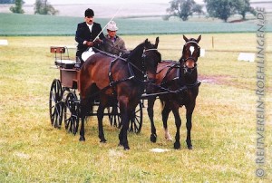 Gebhard Bühler und Xaver Erhard beim Fahrkurs in Jagstzell