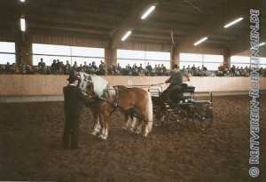 In Röhlingen war Hengstvorstellung. Auch Wolfgang Abele aus Rötlen war mit seinen Haflingern dabei...