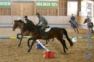 Springquadrille-2