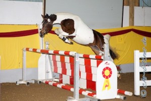 Freispringchampionat-1