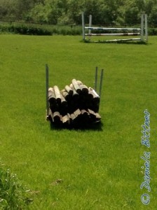 Hier sieht man die übrigen Teile der alten Einzäunung