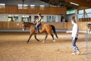 2013-08-Dressur-4