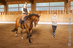 2013-08-Dressur-8