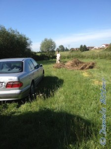 Manuel Bühler entsorgt das alte, abgeschnittene Gras...