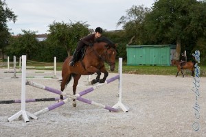 Carissma kann springen...
