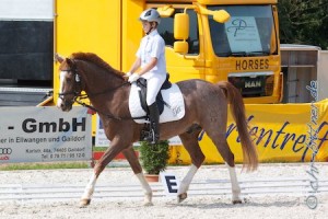 Dennis Pollet startete auf Till im Reiterwettbewerb Schritt-Trab-Galopp