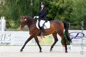 Larissa Gösele startete auf Herata in der A-Dressur
