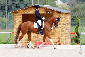 Maria Mayer auf Di Ba Du in der A-Dressur