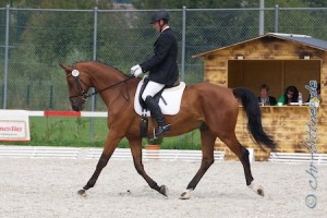 Norbert Wesolowski, hier auf Loui. Mit ihm startete er in der A-Dressur. Loui ist eigentlich bekannter als unser Voltigierpferd. Er ist der Nachfolger des bewährten Michel....