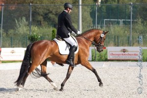 In der Dressurpferdeprüfung Klasse A war Norbert Wesolowski mit Royal Noblesse am Start. Leider reichte es für das erfolgsverwöhnte Duo hier nicht zu einer Platzierung..