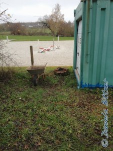 Die Bäume am Container sind beide weg...