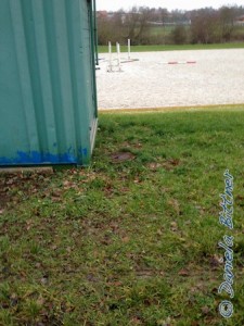 Die Bäume am Container sind beide weg...