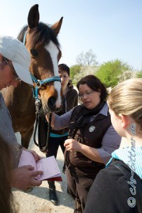 Helmut Epacher hat noch den Equidenpass geholt, nun kann der auch noch studiert werden...