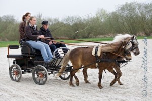 Manuela Feil fährt mit den Classic Ponys von Alexandra Maier aus Rattstadt