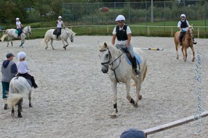Die Springquadrille sind lauter wilde Stadtgespenster...