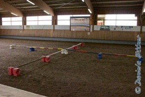 Dies sind die Hindernisse für die Springquadrille..