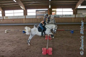 Und siehe da, alle Reiter springen synchron über die Stangen, und das beim ersten Versuch!