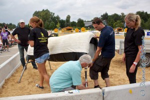 Wie gehören denn die Beine an das Holzpferd ran? Georg Gösele springt ein und hilft bei der Montage...