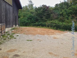 Ende August haben unsere fleissigen Heinzelmännchen die letzten Rest in die Halle geschafft... Mühsam mit der Schubkarre...
