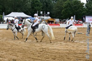Die Stadtgespenster in der Dressurquadrille...