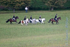 Unten auf der Wiese ging schon die erste Galoppstrecke los...