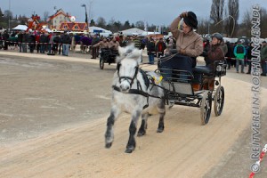 Und nach der Prämierung eine gutgelaunte Ehrenrunde mit den Schleifen!