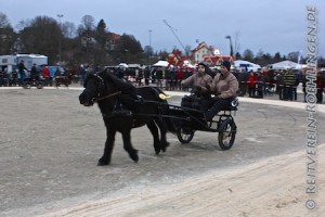 Auch die Ponys können ganz schön schnell flitzen...