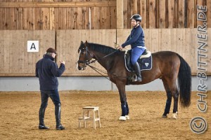 Elena und ihr neues Pferd Corum...