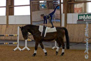 Bewertet werden im praktischen Teil das Mitlaufen mit dem Pferd und verschiedene Übungen auf dem Pferd. Je nach Abzeichen suchen sich die Mädels aus den vierzehn Übungen der Pflicht ihre Übungen aus. Verlangt werden bei Klasse 9 2 Übungen im Galopp und 4 im Schritt, bei Klasse 7 fünf Übungen im Galopp. Auf dem bewährten Michel hat alles super geklappt...