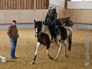 Bettina Kübler war mit Goldschatz und mit Iris A am Lehrgang dabei. Hier ist sie auf Iris A bei der Dressur zu sehen.