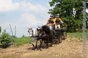 Bergauf und bergab ist für die Ponys kein Problem....